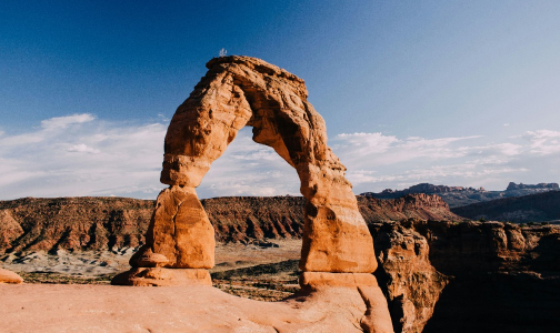 trusted-partner Trusted Partner